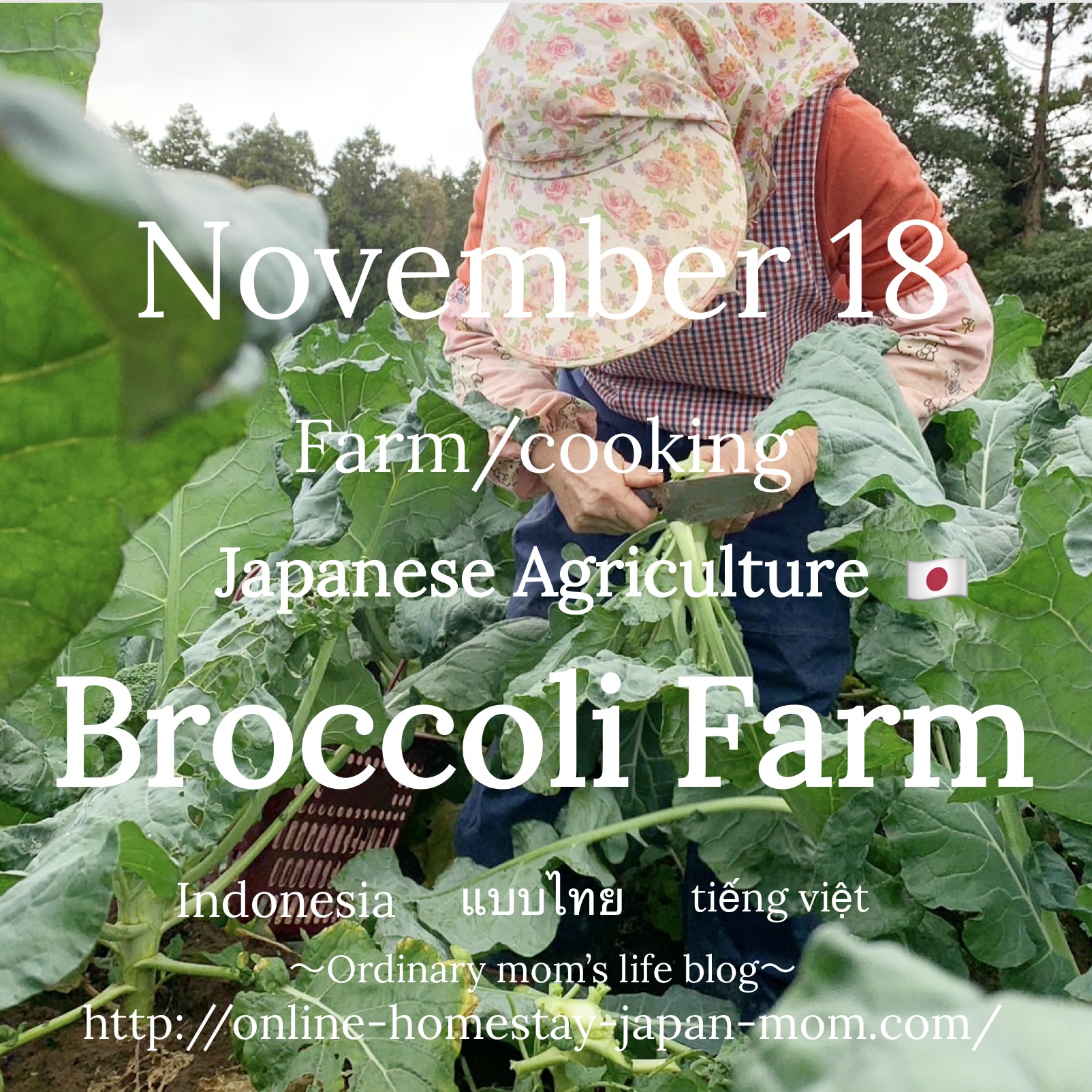 Discovering Japan’s Agriculture Tradition and Innovation